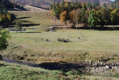 DSC_0444.JPG