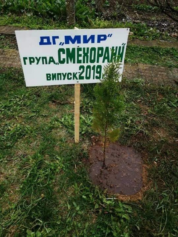 IMG-5b76c6dc1c24330c4ae436362baeca16-V.jpg